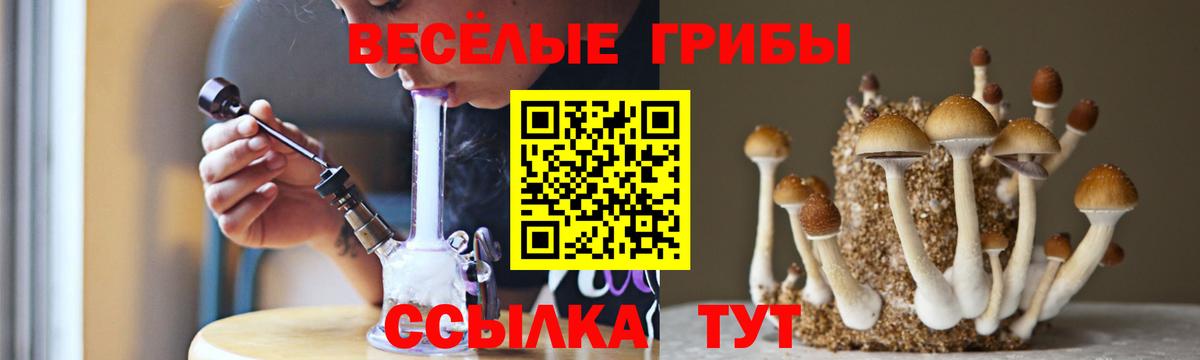 Галлюциногенные грибы Cubensis  Вход с VPN  Галлюциногенные грибы GOLDEN TEACHER  Печора 