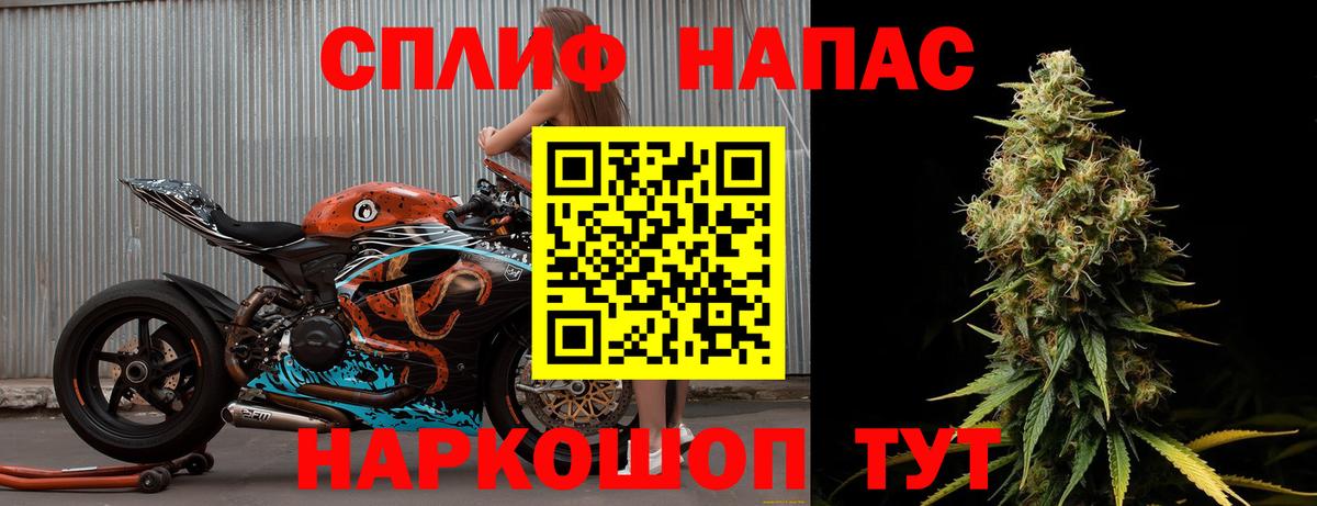 Канабис сатива Печора